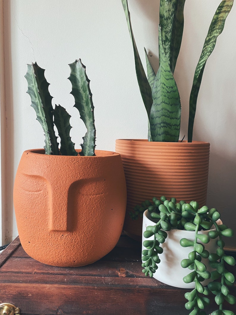 Large Face Planter with Drainage Indoor Plant Pot Etsy