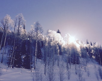 Matin d’hiver