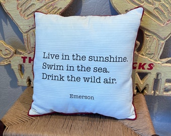 Throw pillow