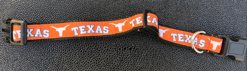 Texas Longhorns Inspired Dog Collar