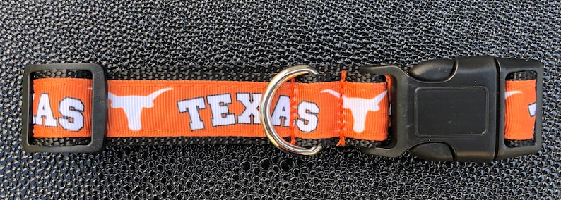 Texas Longhorns Inspired Dog Collar