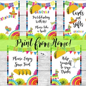 Taco Bout A Baby Decorations!