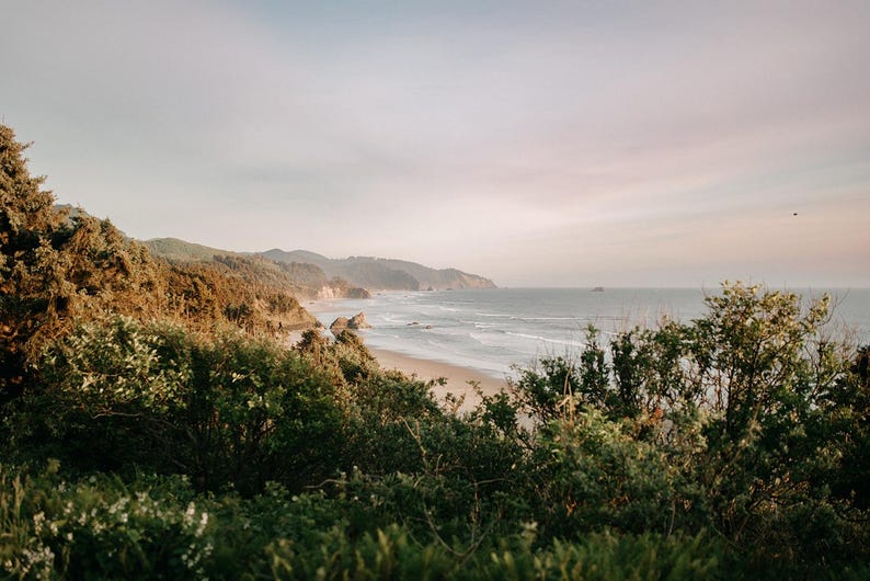 May include: A scenic view of a coastline with a sandy beach and rolling green hills. The ocean is a light blue color and the sky is a soft pink and white.