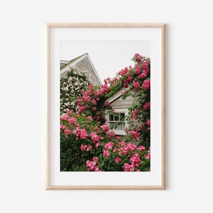 Nantucket Rose Cottage Print, Nantucket Photography, Pink Roses Wall Art, Coastal New England Cottage Decor