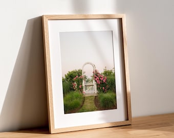 Nantucket Rose Garden Print, Pink Roses Fine Art Photography, Coastal Cottage Wall Art, White Garden Gate, New England Decor