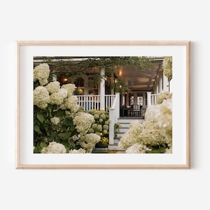 Nantucket New England Coastal Scene Photography – Cape Cod Hydrangea Print