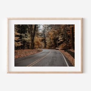 May include: A framed landscape photograph of a winding asphalt road curving through a dense forest during autumn. The trees display vibrant orange, yellow, and brown foliage, with fallen leaves covering the ground along the roadside edges.