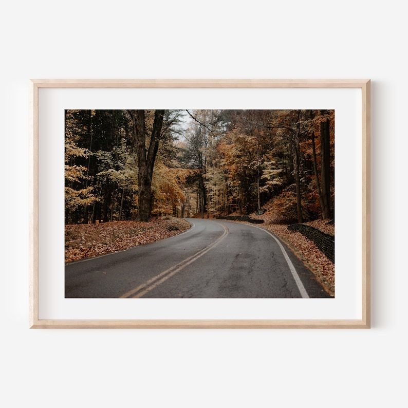 May include: A framed landscape photograph of a winding asphalt road curving through a dense forest during autumn. The trees display vibrant orange, yellow, and brown foliage, with fallen leaves covering the ground along the roadside edges.
