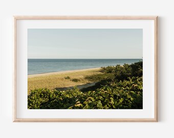 May include: A panoramic view of a sandy beach with green foliage in the foreground and a blue ocean in the background.