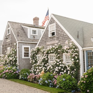 May include: A row of charming gray-shingled buildings with white trim and multiple windows. The buildings are adorned with climbing white and pink flowers and surrounded by lush green and colorful hydrangea bushes. An American flag waves in the sky.