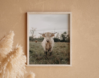 Highland Cow Photography, Cow Print, Hairy Coo, Rustic Art, Farm Photography