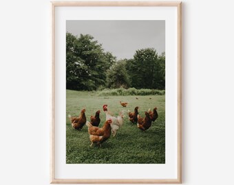 Farmhouse Print French Country Home Decor Chickens and Rooster Print Cottage Core Photography Farm Large Wall Art