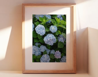 Nantucket Hydrangea Print | Nantucket Wall Art | Blue Hydrangea Photography | Coastal Floral Decor | Botanical Fine Art Print