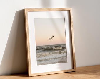 Seagull Ocean Print, Coastal Bird Wall Art, New England Beach Photography, Neutral Seascape Decor, Beach House Art