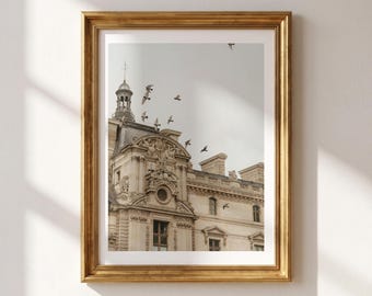 Paris Print, Louvre Photography, Pigeons in Flight, Paris Architecture Wall Art, Neutral French Decor, Paris Travel Gift, Fine Art Photo