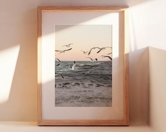 Cape May Seagull Print | Coastal Wall Art | New Jersey Beach Photography | Ocean Bird Print | Framed Beach House Decor