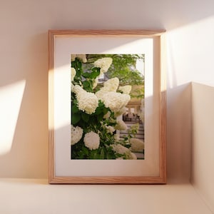 White Hydrangea Wall Art Print, Summer Floral Photography, Coastal Cottage Home Decor, Botanical Nature Print, Neutral Fine Art image 1