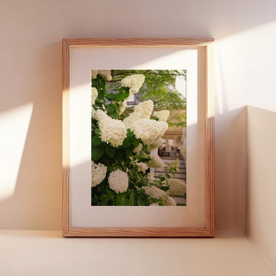 White Hydrangea Wall Art Print, Summer Floral Photography, Coastal Cottage Home Decor, Botanical Nature Print, Neutral Fine Art