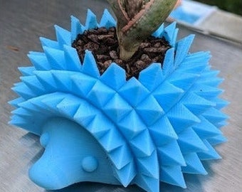 Maceta suculenta de erizo / regalos de erizo / accesorios de erizo / jardinera de erizo / jardinera de animales / jardinera linda / maceta de cactus