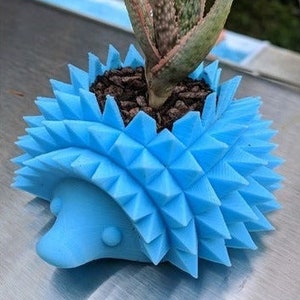 Hedgehog succulent planter | hedgehog gifts | hedgehog accessories | hedgehog planter | animal planter | cute planter | cactus pot