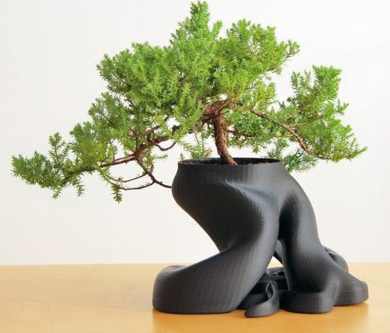 flying bonsai tree DIY Bonsai Tree Growing Kit – Grow Your Own Miniature Tree – Flying Tiger  Copenhagen