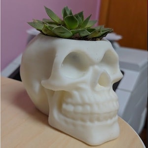 Carnivorous skull planter | large planter | face planter | pottery planter | head planter | human skull | skull wedding | Gothic furniture