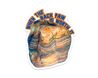Agate Sticker/Magnet, Rockhound Gift, Rock Lover Gifts, Back Pain