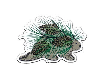 Porcupine Sticker, Porcupine Mountains Gift, Upper Michigan Decal, Pine Needles