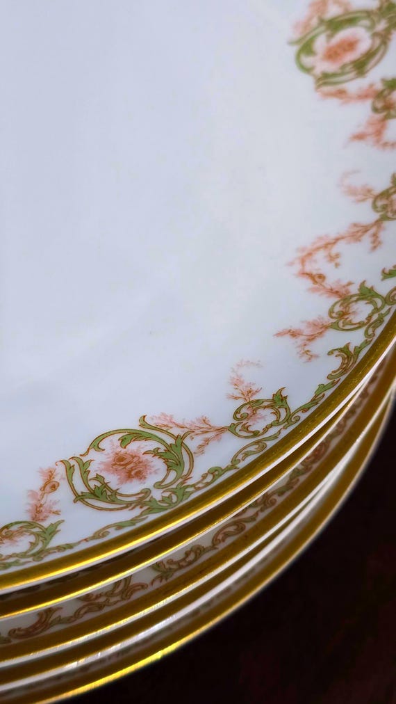 HAVILAND & Co. set of 5 Schleiger 695 plates, c. 1920-30s