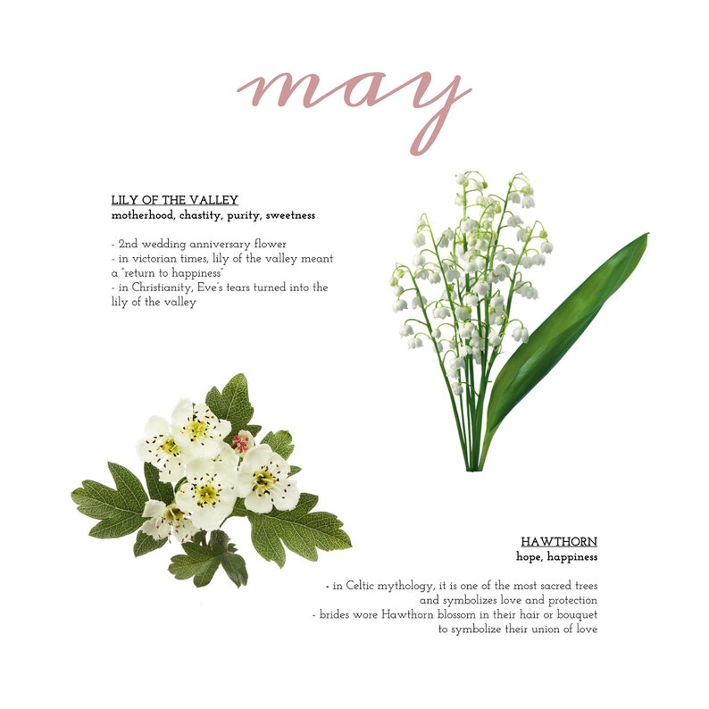 May Birth Flower Necklace lily of the Valley & Hawthorn Etsy