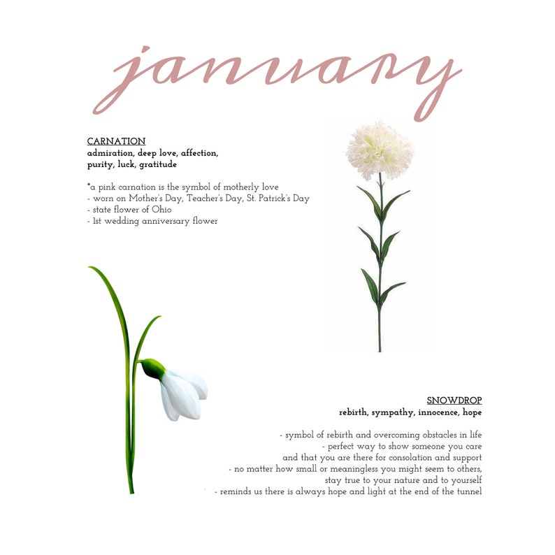 January Birth Flower Necklace Carnation & Snowdrop Etsy