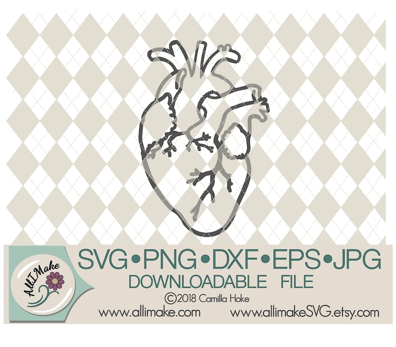 Download Jpg Files For Cricut And Silhouette Cutting Machines Png Anatomical Heart Svg Svg File Eps Dxf Craft Supplies Tools Tools