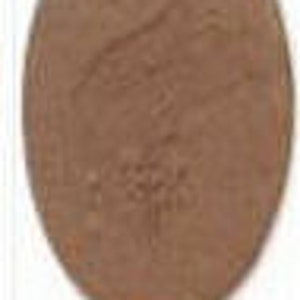 May include: A close-up of a copper-colored coin. The coin has a textured surface and a slightly oval shape.