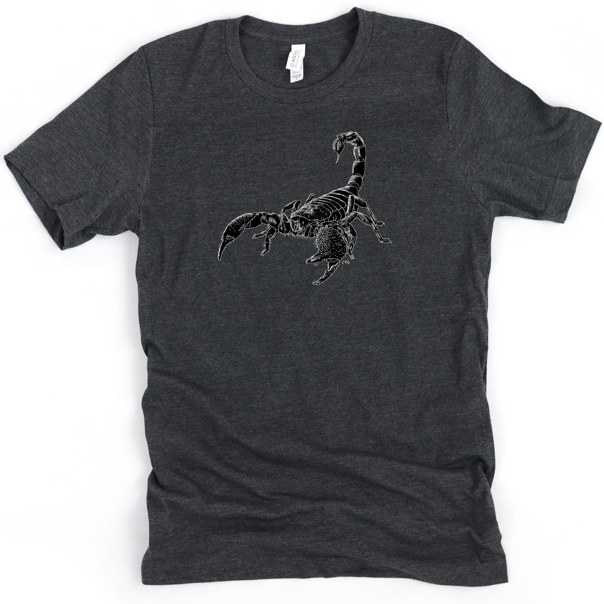 AMPLIFIED / Herren-Shirt / SCORPIONS TAIL