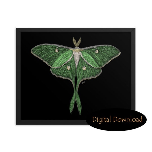 Luna Moth Digital Download Art Print / Wandkunst / Instant Download / Luna Moth Art / Luna Moth Print