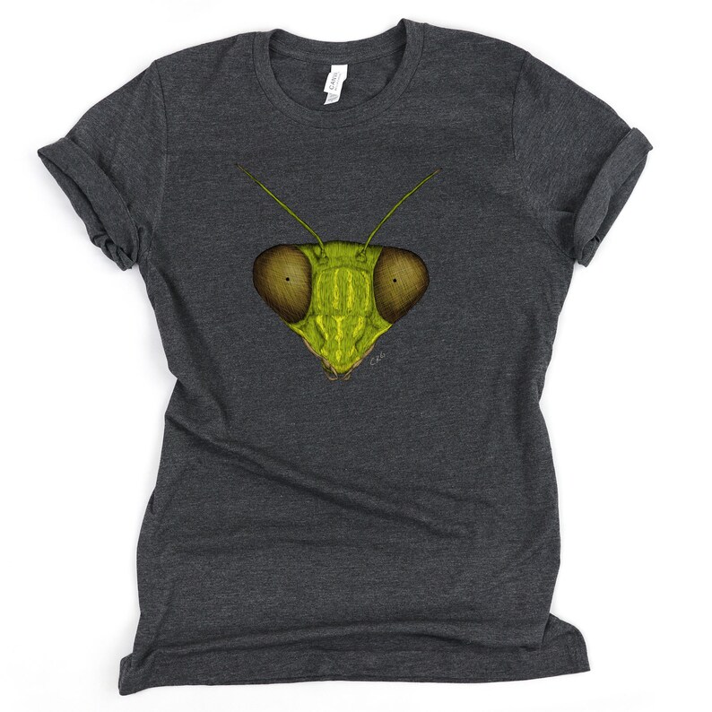 May include: A dark heather grey t-shirt with a green praying mantis face graphic printed on the front.