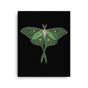 Luna Moth Canvas Art Print / Luna Moth / Luna Moth Wall Art / Luna Moth Art / Luna Moth Print