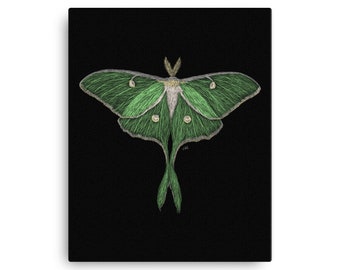 Luna Moth Canvas Art Print / Luna Moth / Luna Moth Wall Art / Luna Moth Art / Luna Moth Print