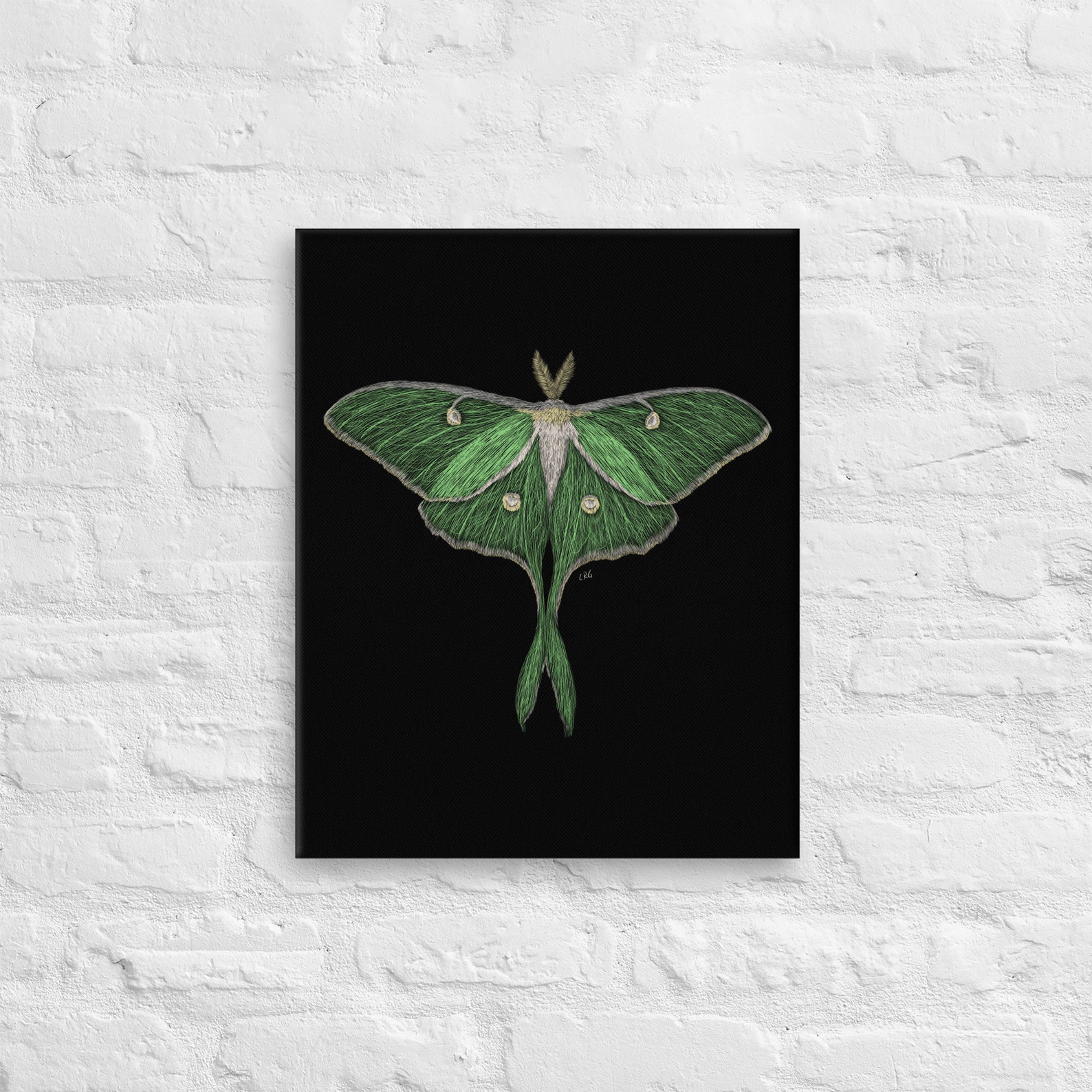 Luna Moth Canvas Art Print / Luna Moth / Luna Moth Wall Art / Luna Moth ...