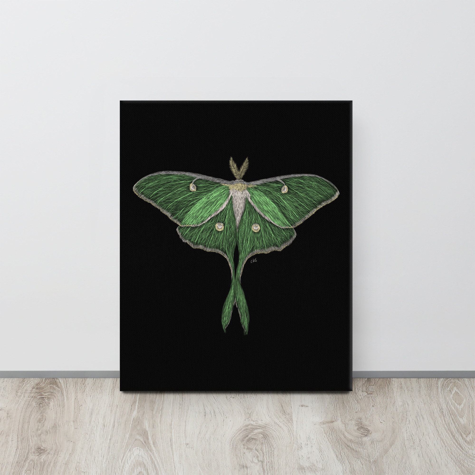 Luna Moth Canvas Art Print / Luna Moth / Luna Moth Wall Art / Luna Moth ...