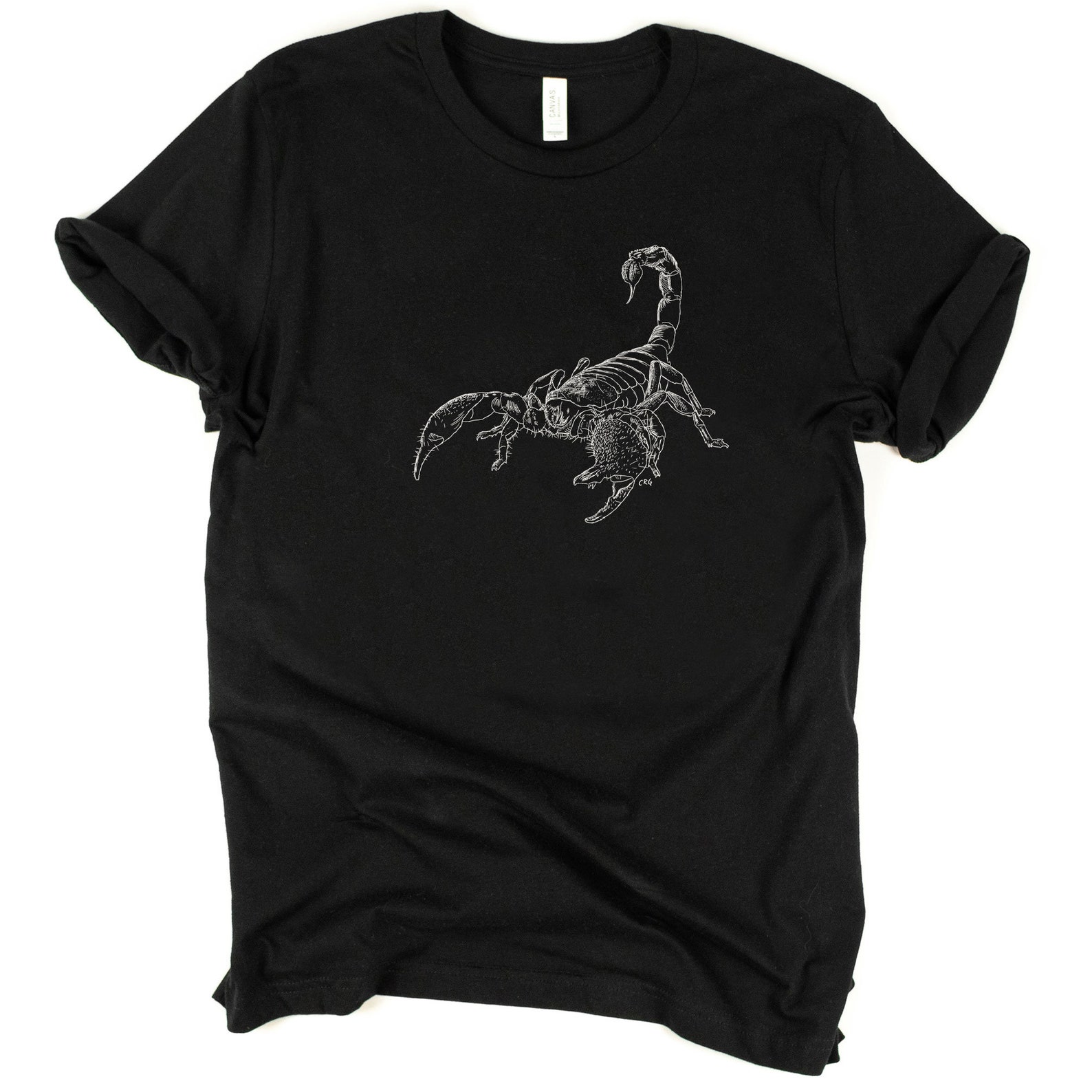 AMPLIFIED / Herren-Shirt / SCORPIONS TAIL main image 1
