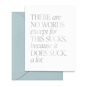 There Are No Words Except for This Sucks Silver Foil Card | Folded Card | Sympathy Thinking of You Cards | Modern Everyday Greeting Cards