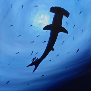 Beneath the Blue Veil: The Hammerhead