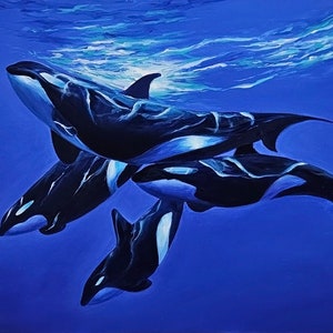 Print of my painting, &quot;Orcas in Harmony&quot; whale, killer whale, Cetacean, ornicus orca