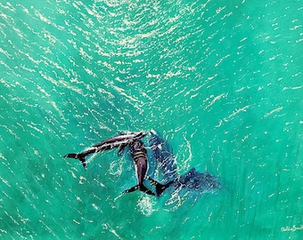 Dream, 18 x 24 inches, acrylics on canvas, orca killer whale
