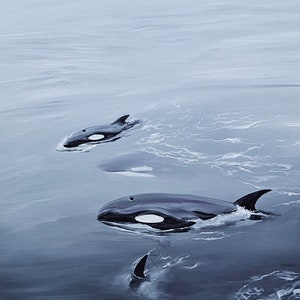 Cetaceans, Oil on canvas, orca killer whale