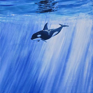 May include: An acrylic painting on canvas depicting an orca swimming through deep blue ocean water. The scene features light rays filtering down from the surface, illuminating the black and white body of the whale as it glides through the depths.