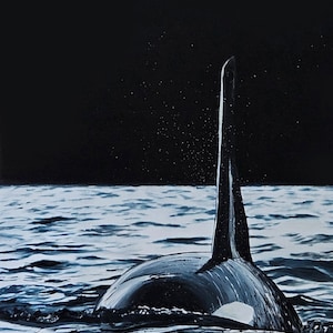 Print of my painting, &quot;Cetacean in Grey,&quot; whale, killer whale, Cetacean, ornicus orca