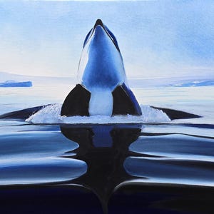 Artic Dream: The Orca&#39;s world