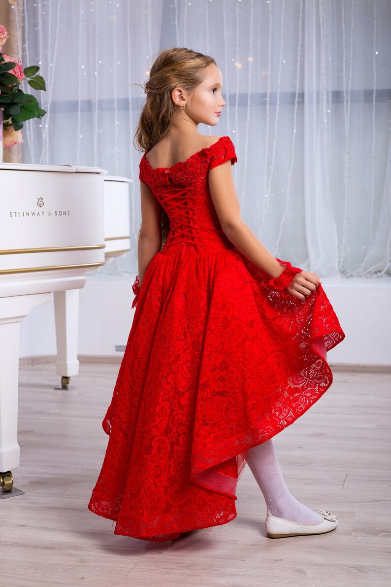 Navy Lace Girl Dress Long Sleeve Flower Girl Dress Baby Girls Long Sleeve Navy Dress Girl Lace Dress Long Sleeve Flower Girl Dress